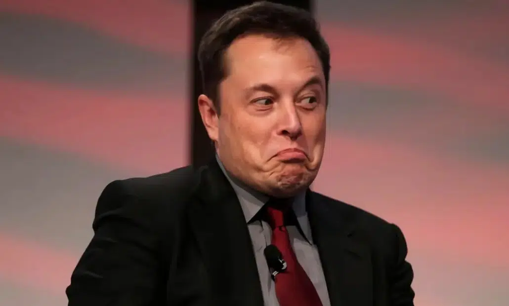 Elon Musk CEO de Twitter