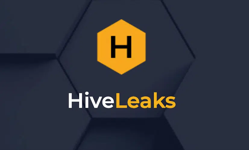 hive ransomware grupo cibercriminal